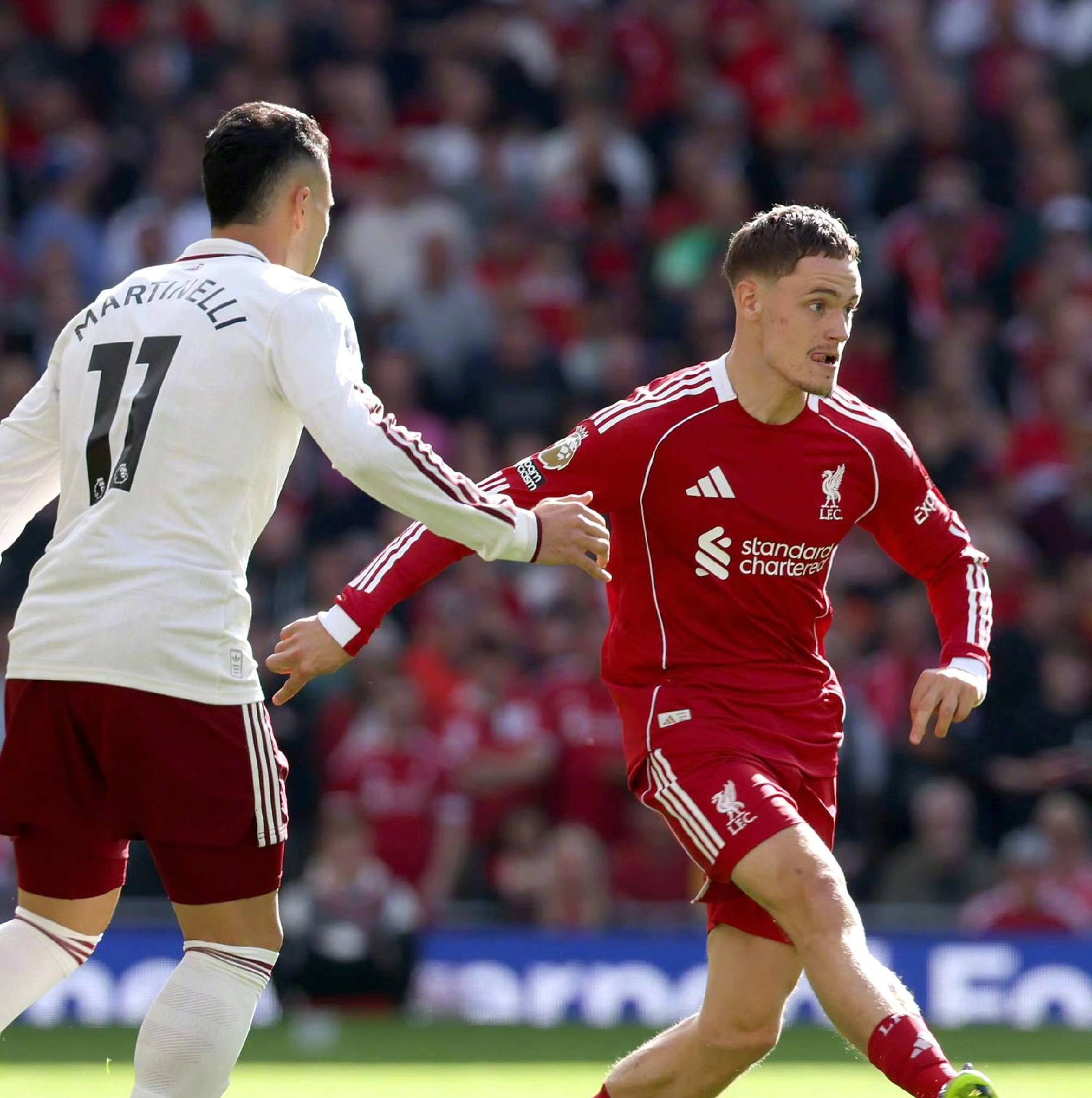 面对广厦的 面对广厦的